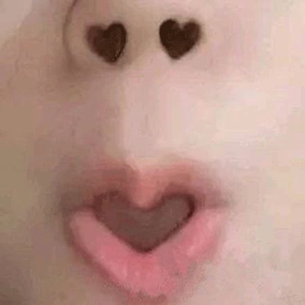 淘宝39元商品,淘宝平价包包女大容量