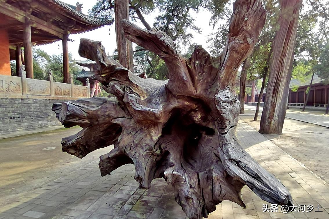 千年乌木关帝庙,关帝庙古树价格