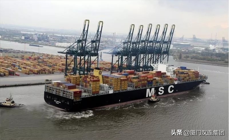 美国ams申报,美国ams申报注意事项