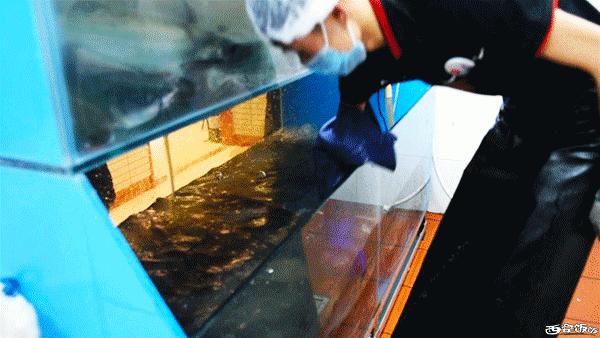 香Skr人！这家店排了两个小时？饭饭送你免排队黑卡内含¥？68