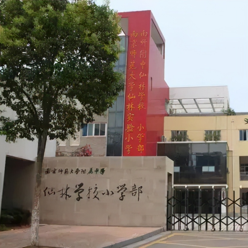 家长对双减政策和课后服务的建议,双减工作与课后延时服务政策解读