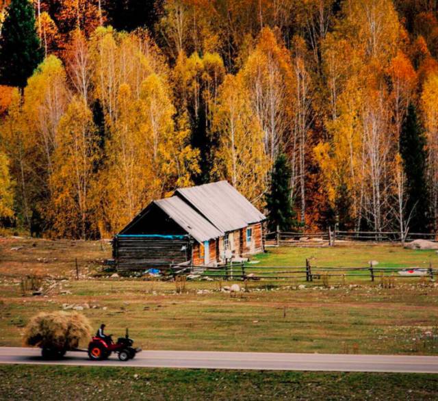 阿勒泰秋季旅行,新疆旅行阿勒泰秋天