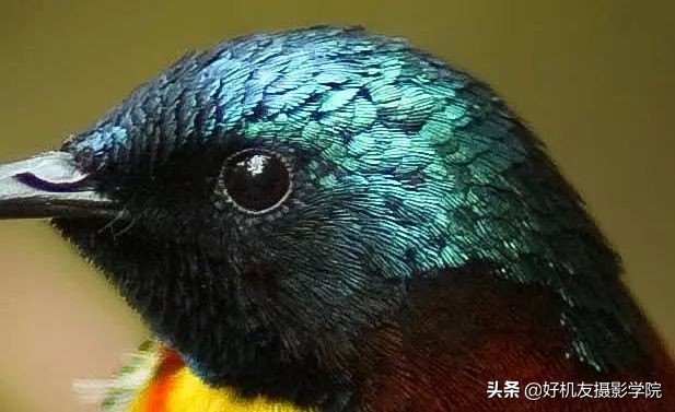 照片灰蒙蒙的怎么拍,照片灰蒙蒙的怎么变清新