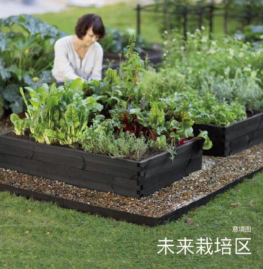 涓ぎ鍏洯鐖嗘椤圭洰,涓ぎ鍏洯鐖嗘浜嗗悧