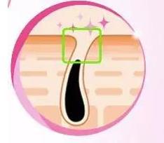 脱毛用什么产品比较好,如何选择脱毛产品