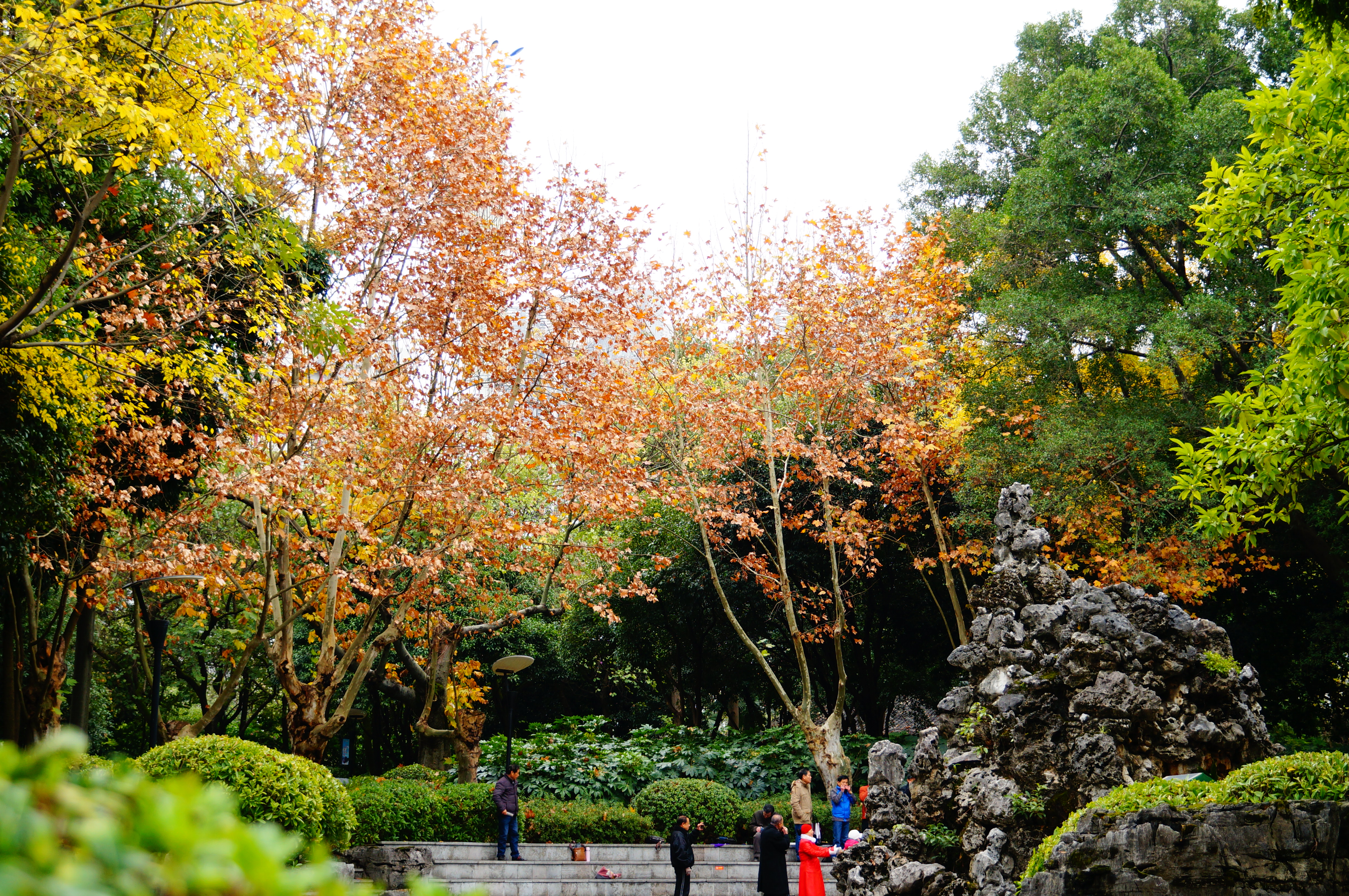 柳州的柳侯公园景色,柳州的秋天美景