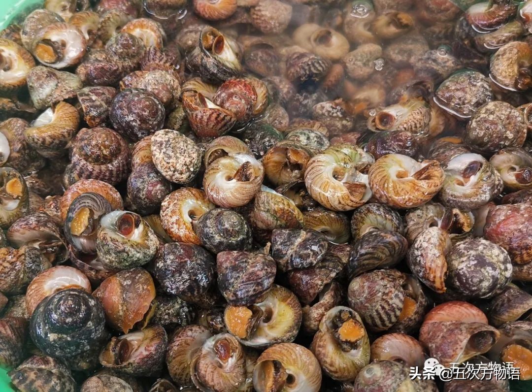 青岛海鲜市场价格表今日,青岛哪个农贸市场海鲜最便宜又好