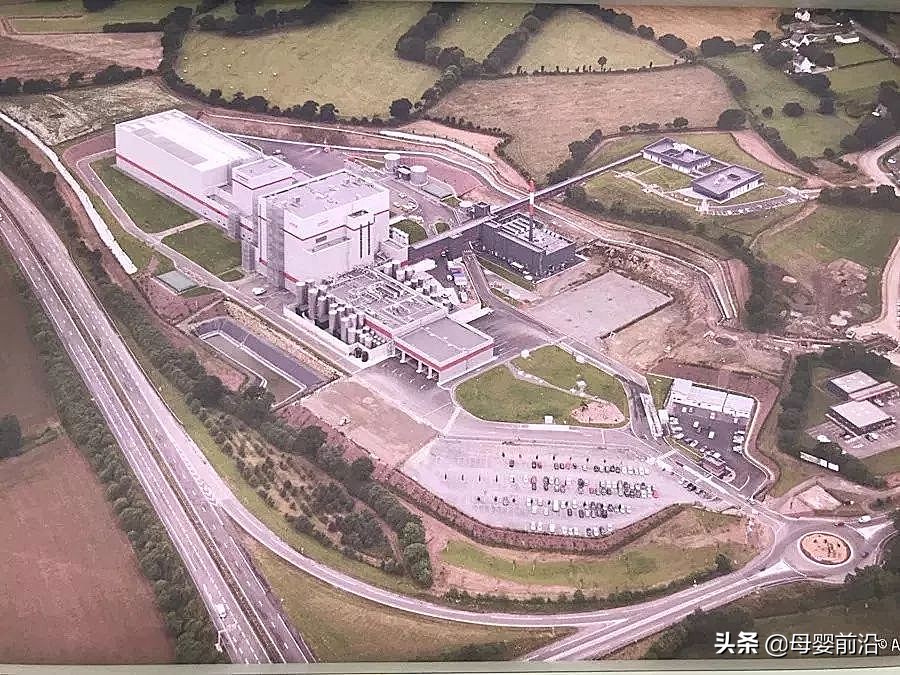 张亮：圣元蓄势，不争一时之快（一）