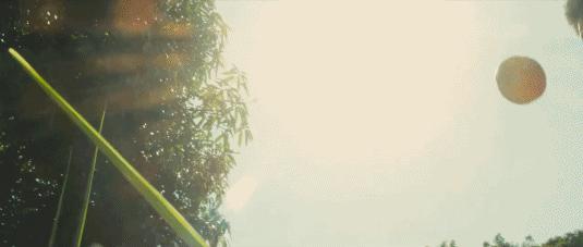 贝利的传奇诞生,贝利传奇的诞生感言