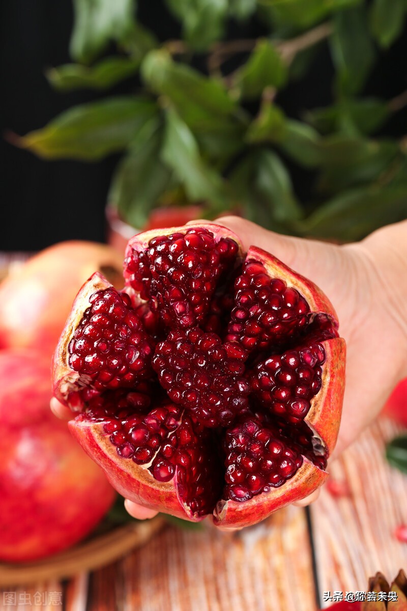 云南蒙自石榴树苗联系电话,云南蒙自石榴树苗出售