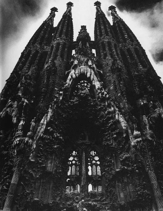 三岛由纪夫艺术,三岛由纪夫青年照