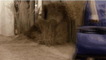 解放双手的包包,解放双手包包推荐