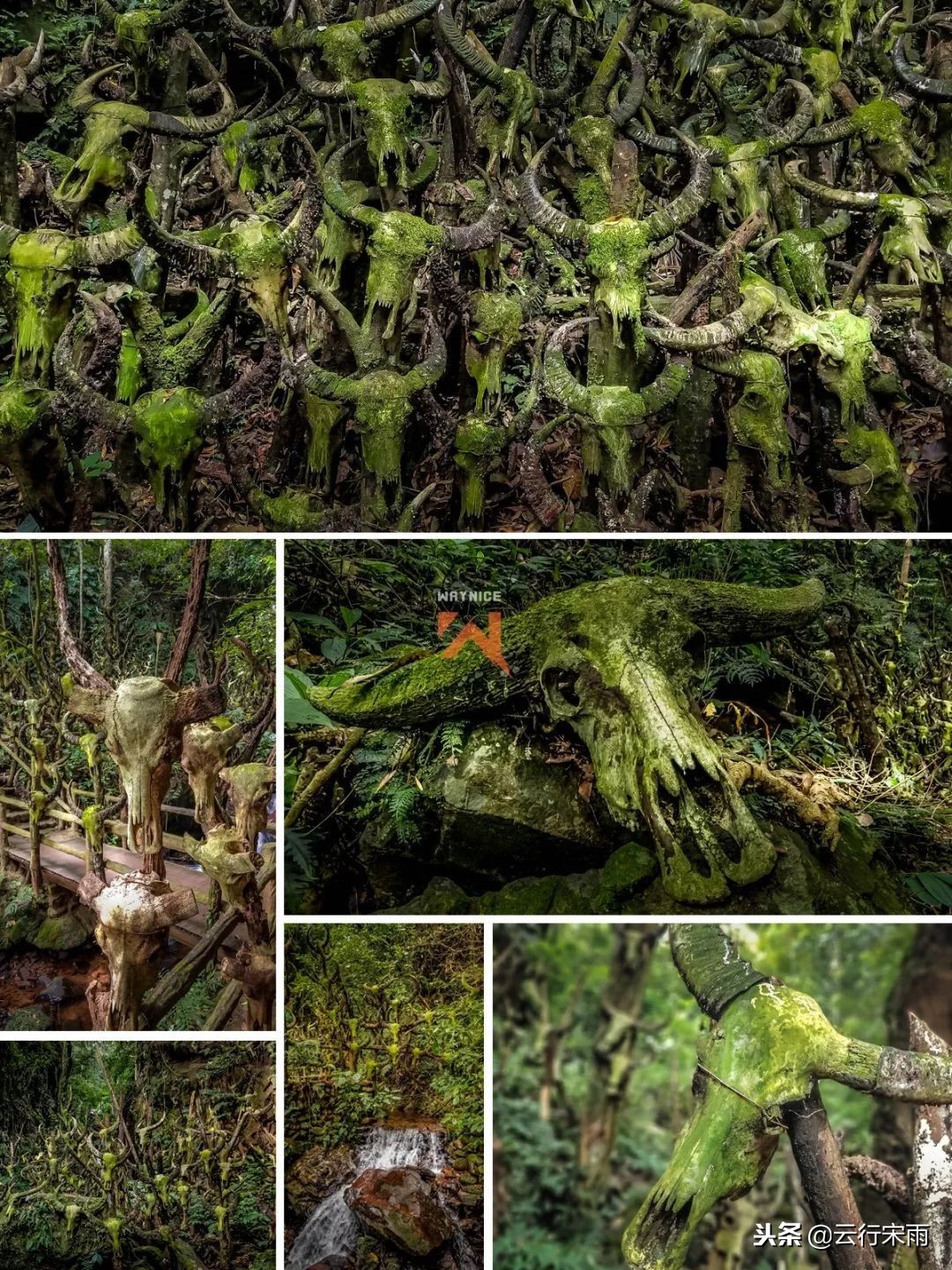 八天七夜云南旅游,八天七夜旅游云南