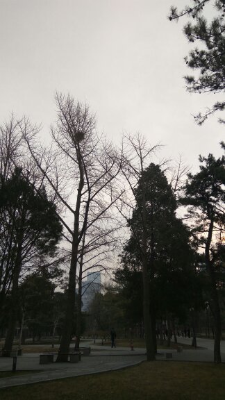 自觉履行岗位职责,职场角色的转变意味着责任和担当