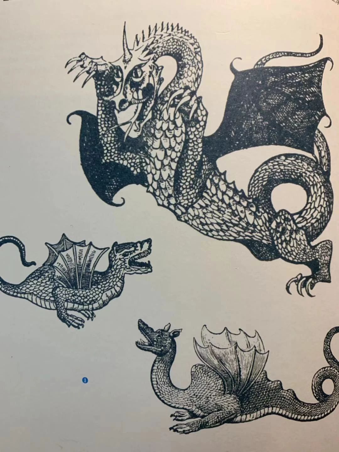 蝙蝠会变成吸血鬼吗,蝙蝠和吸血鬼有什么关系