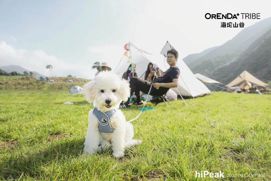 回望2020海坨耕耘路,以待2021山谷新美好