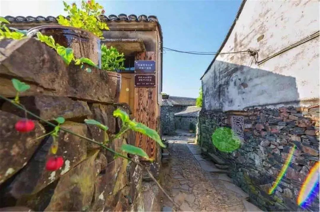 花一个周末时间去玩,花一个周末去苏州是什么体验