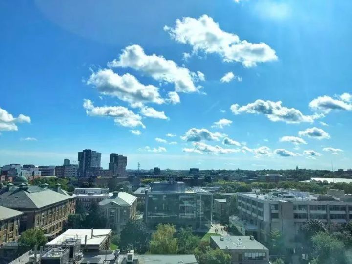 了解真实的日本留学,波士顿留学流程