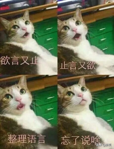 网红服装店的利润一般是多少,网红服装店内幕