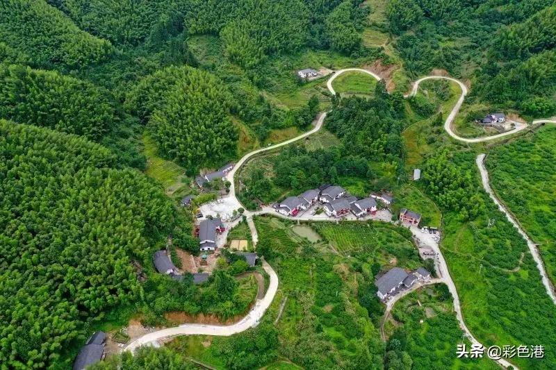 2022全国晚报摄影优秀图片评选,记者获奖照片触目惊心