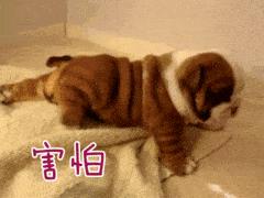 每月都来大姨妈还会导致不孕吗,大姨妈的风险