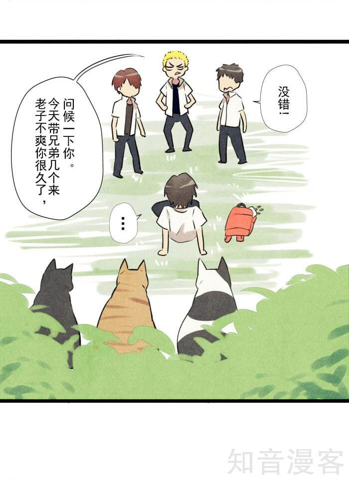 猫和铲屎官的日常生活漫画,猫和铲屎官的日常漫画