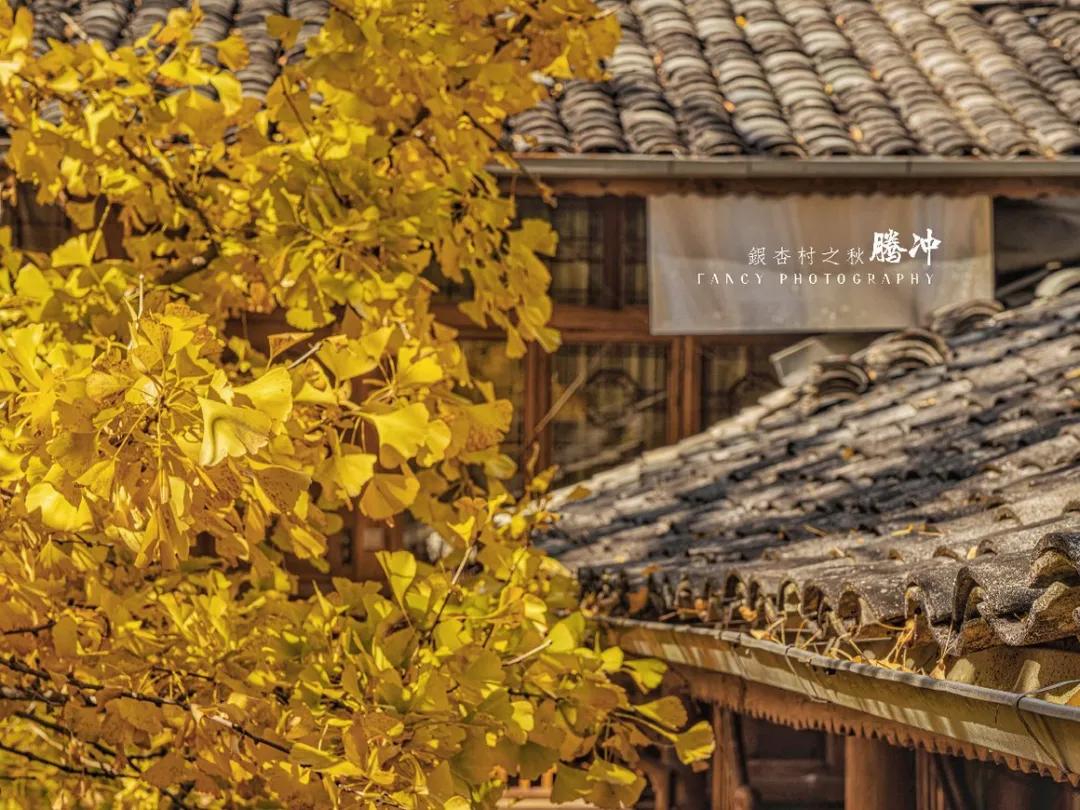 世界十大必去旅游城市,世界十大最值得去的地方