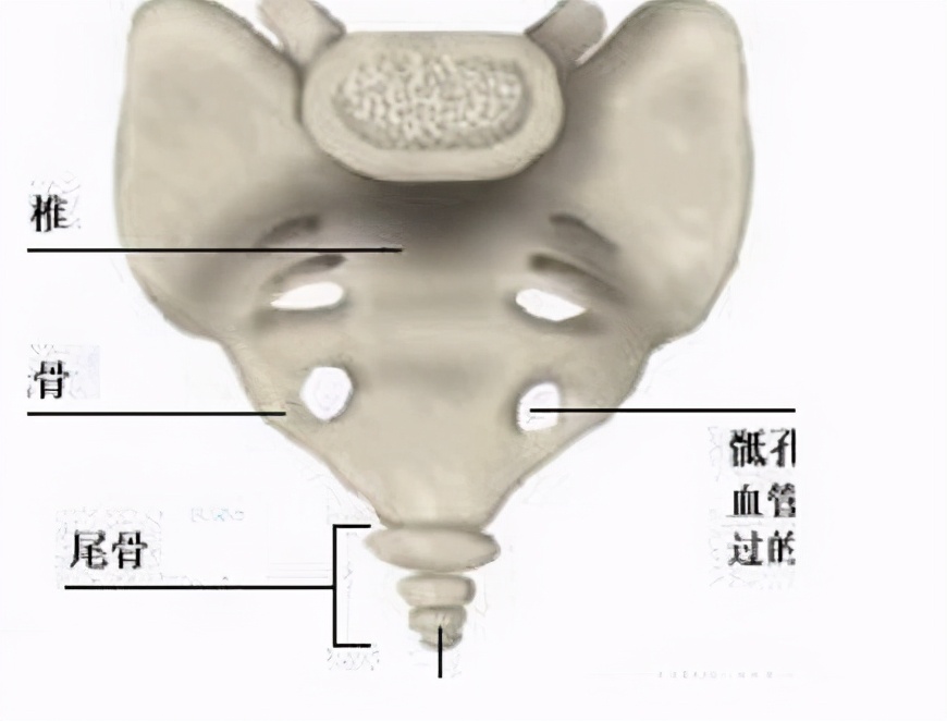 李振华治疗颈椎病,颈椎病治疗专家李国民