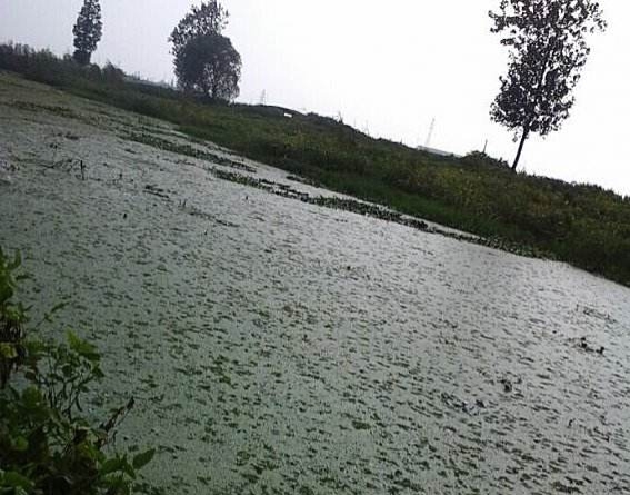 路亚钓黑鱼最好用的钓法,路亚钓黑鱼怎样选钓点图