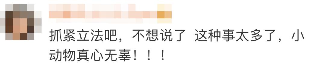 连踹四脚男子街头踢死小猫,男子虐待猫咪被学生暴打