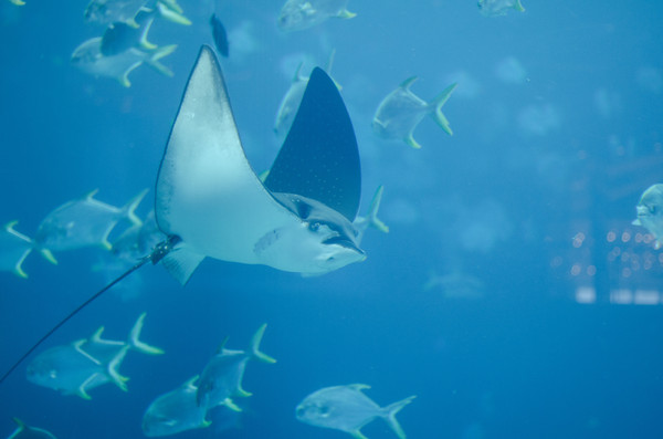 三亚位置好的酒店,三亚位置好公寓