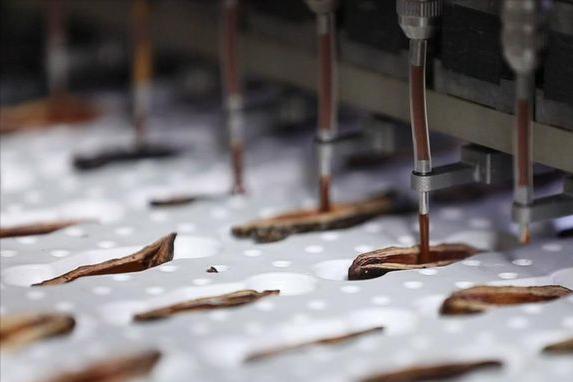 槟榔致癌有多强超出你的想象,槟榔致癌还有多少人不知道