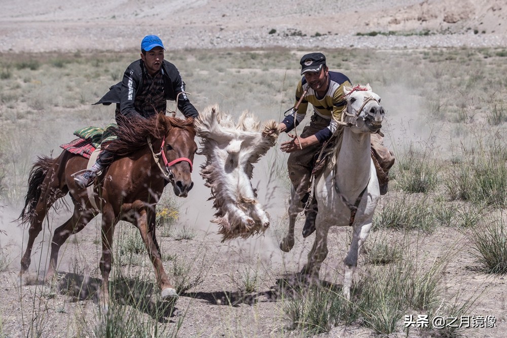 铁血雄鹰全剧,铁血雄鹰全文阅读