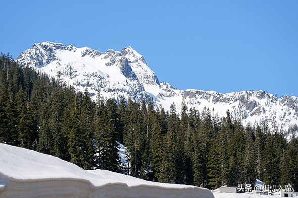 尼康z7和松下s1r怎么选,尼康z6ll和松下s5