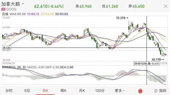 加拿大鹅多伦多门店,北京加拿大鹅内地店开业火爆