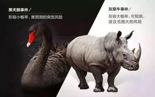 娃哈哈ad钙奶毒蘑菇事件,娃哈哈ad钙奶渠道策划