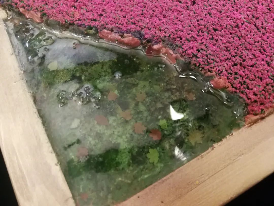 二战德国女兵阅兵,二战德国女兵的视频