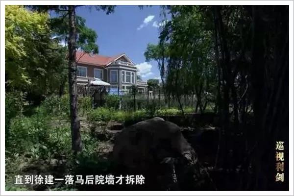 引狼入室还是招商引资,引狼入室还是另有谋略