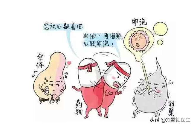 排卵试纸的正确使用方法图解,排卵试纸正确完美用法