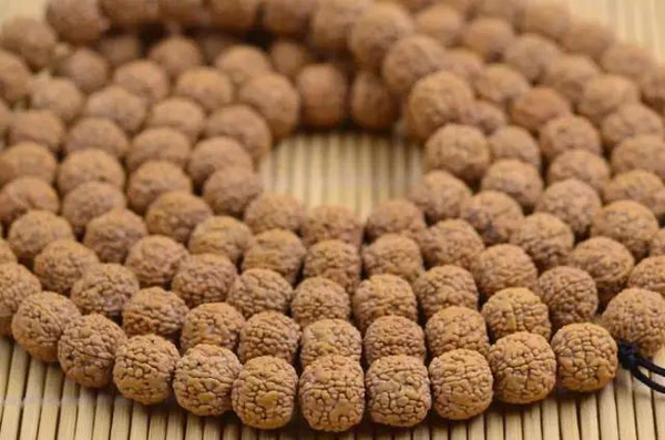 龙鳞纹金刚菩提怎么盘玩视频,小龙鳞金刚菩提盘玩方法