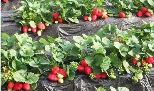 禹州清明踏青旅游攻略,禹州春游爬山的好地方