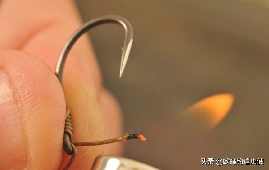 话说欧鲤钓最新消息,话说欧鲤钓鱼完整版