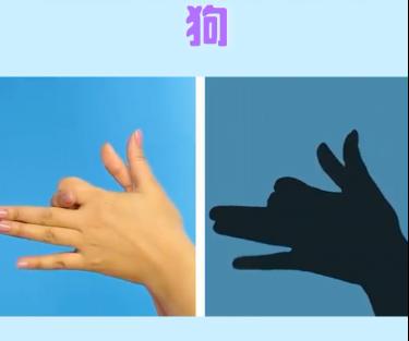 宝宝睡前玩的手影游戏,儿童手脑协调游戏