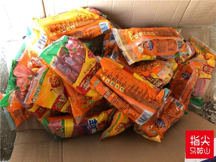 马鞍山流浪狗救助中心在哪里,曝光流浪狗救助真相