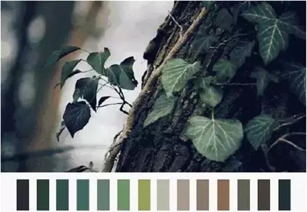 平面设计的简洁设计技巧,平面设计解析分享