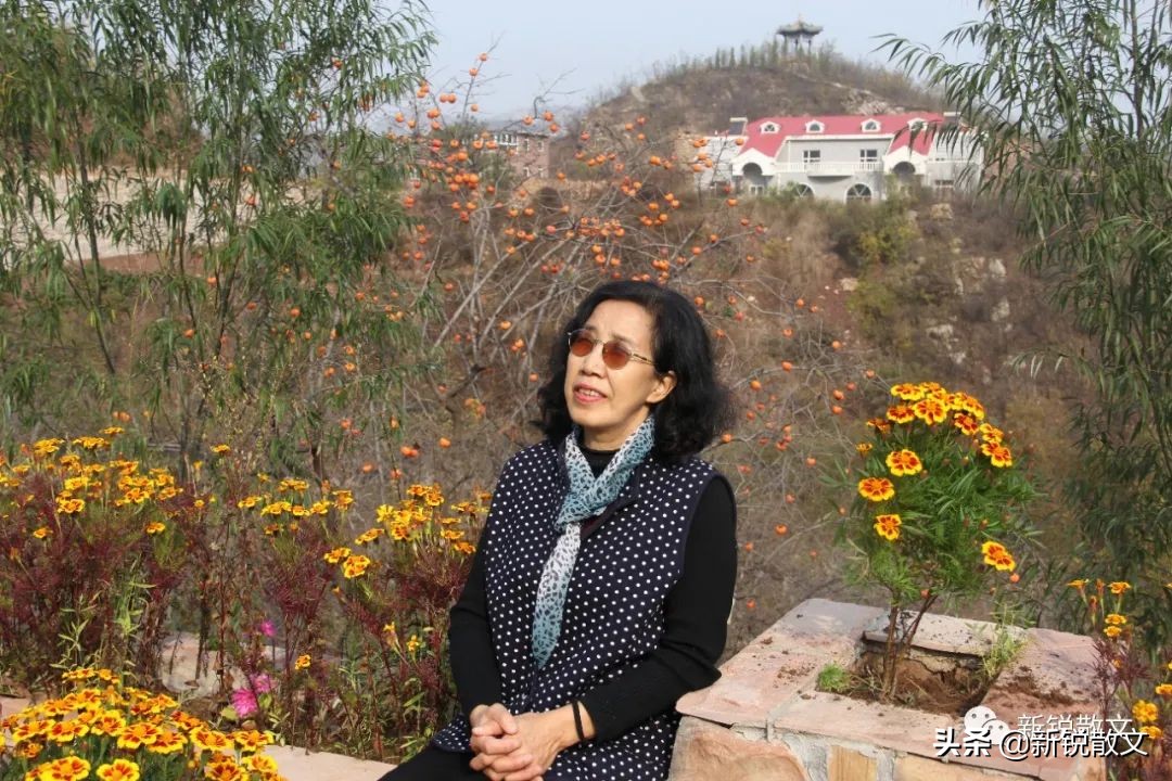 海南第一棵橡胶树,海南橡胶树的由来