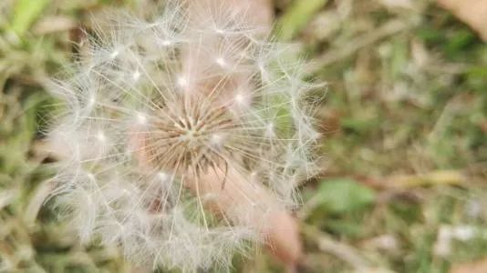 90后残疾人创业事迹,白手起家创业故事残疾人