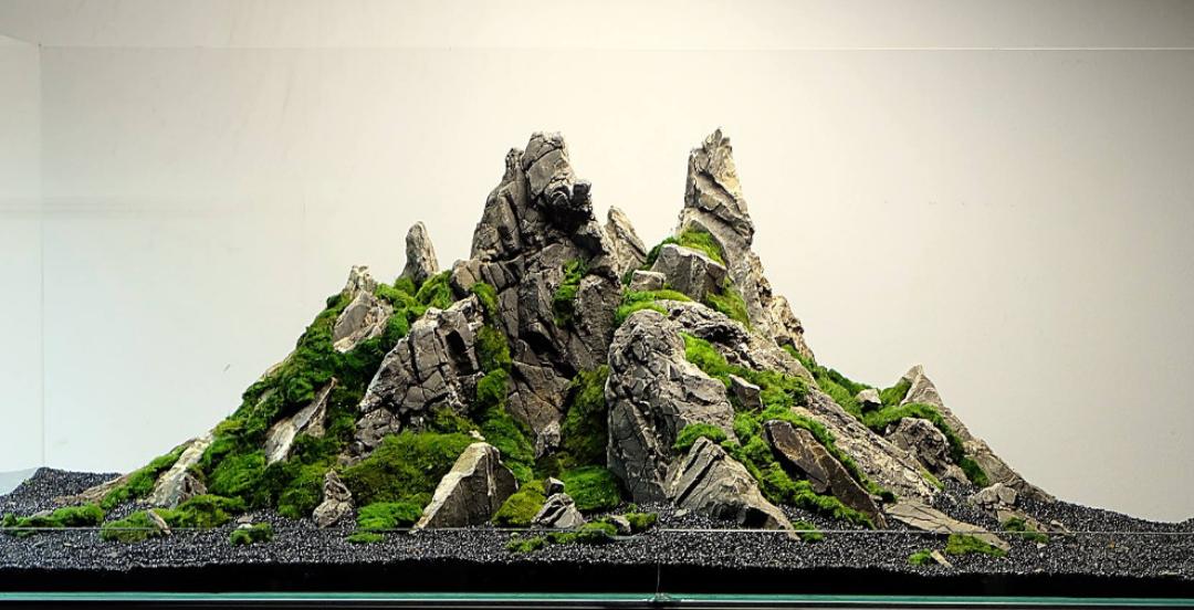 新手养鱼开缸及养水步骤,新手30厘米家庭小鱼缸养鱼步骤