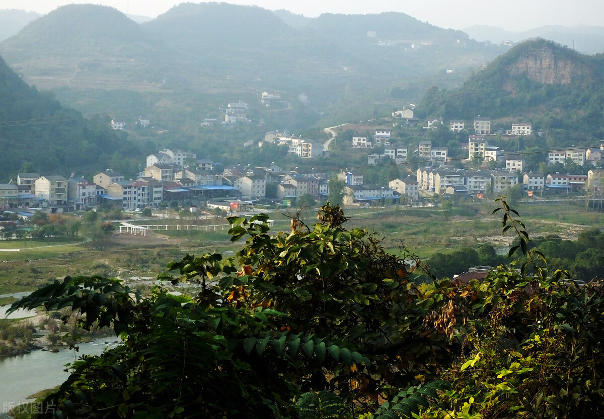 乡村振兴在农村有什么创业项目,2023年乡村振兴创业项目有哪些