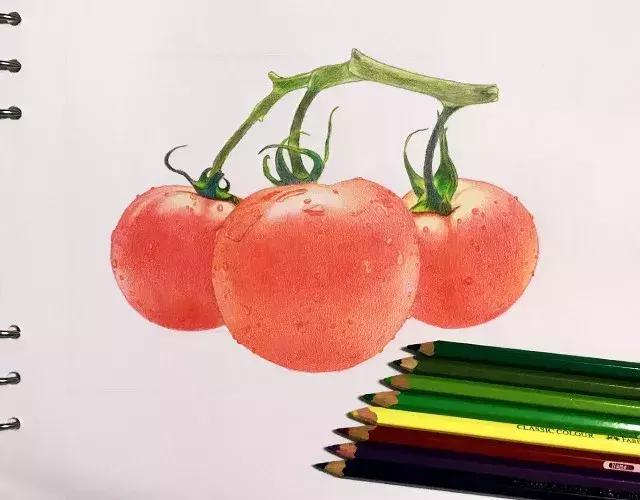 儿童彩铅画番茄,彩铅画写生番茄